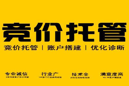 SEM托管公司案例分析：精准定位用户